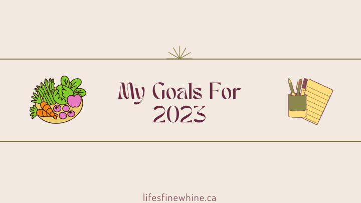 My Goals For 2023
