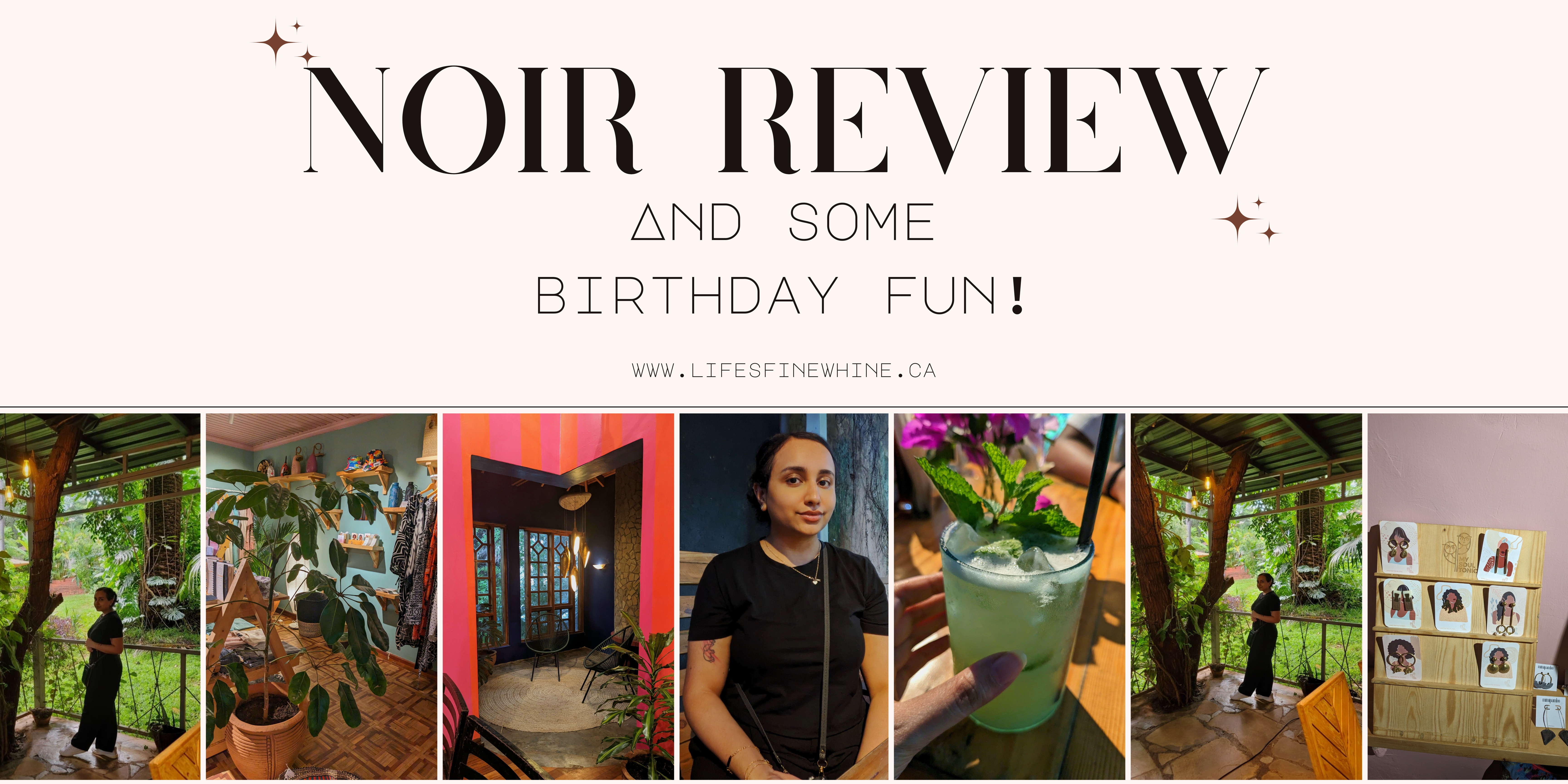 How I Spent My Birthday And Noir Review