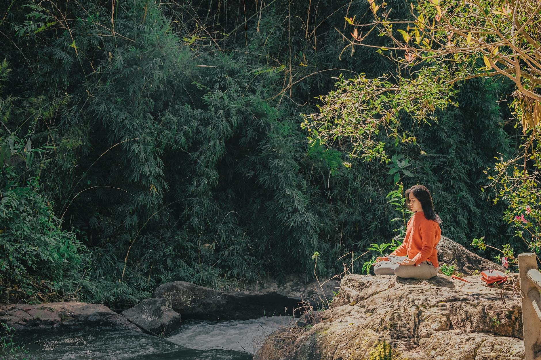 woman sitting on brown stone near green leaf trees at daytime | Bad Days Often Teach Us The Best Lessons | An Invitation To Pause And Listen Within