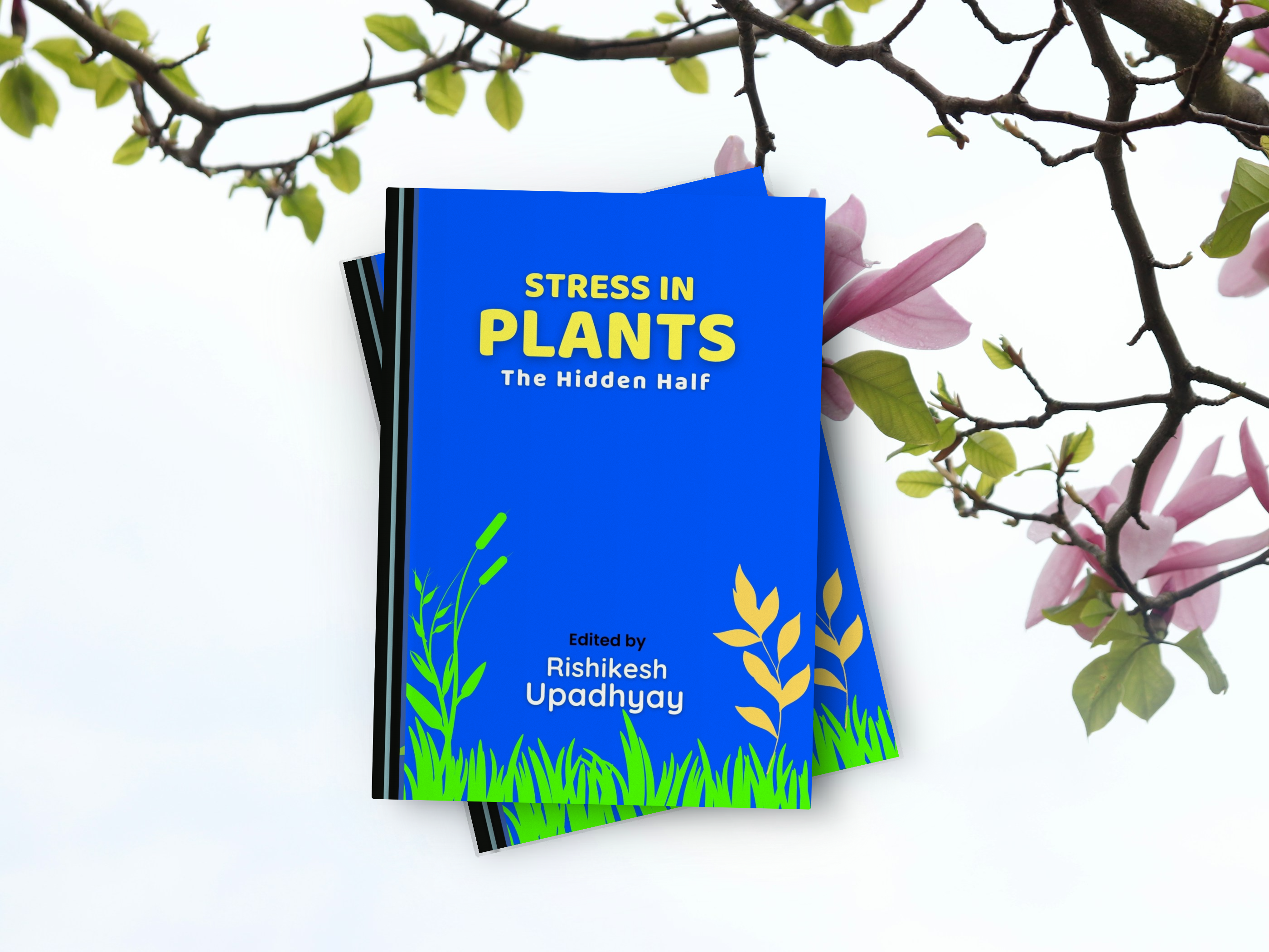 Stress in Plants: The Hidden Half by Rishikesh Upadhyay