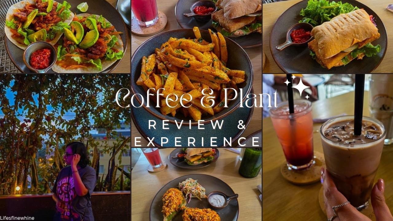 Coffee & Plant Review And Experience