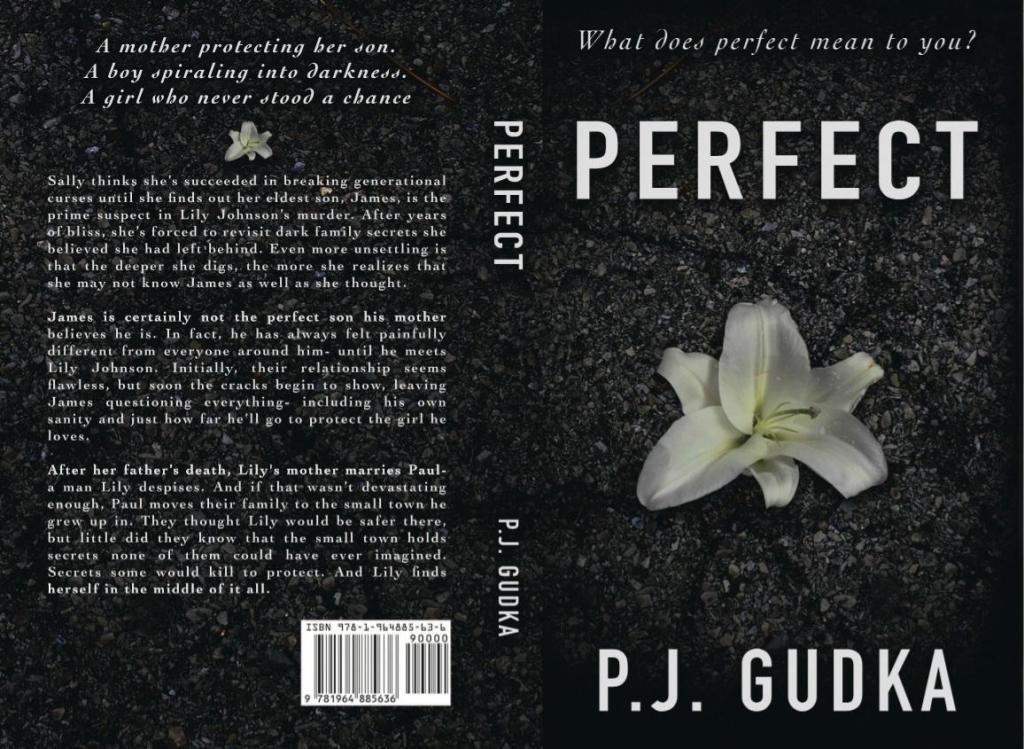 Perfect By P. J. Gudka