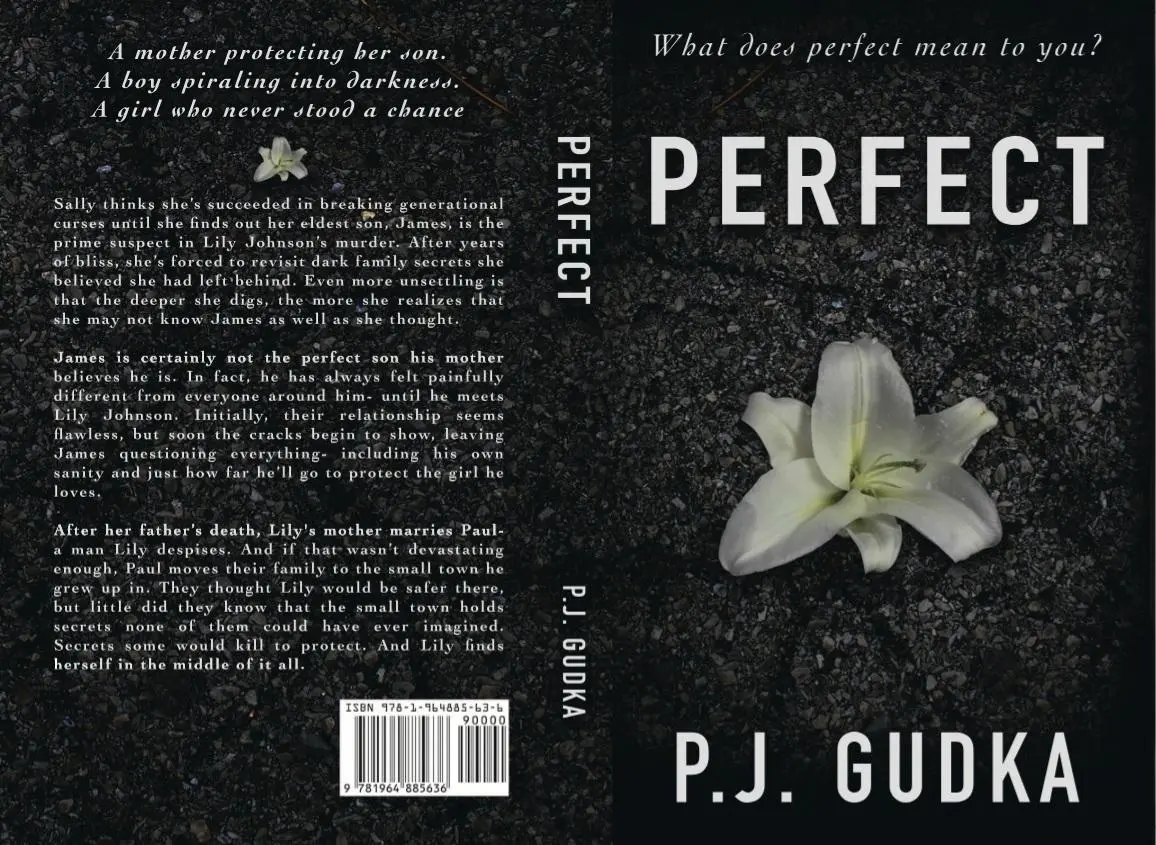 Perfect by P. J. Gudka Review